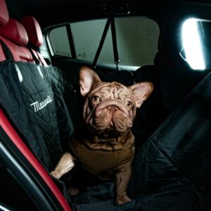 Maserati Brings Luxury to Your Fur Baby