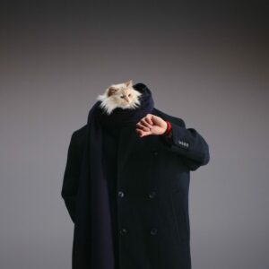 Choupette Stars in Hublot’s Most Audacious Campaign Yet