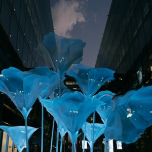 The Ephemeral Petunia Garden