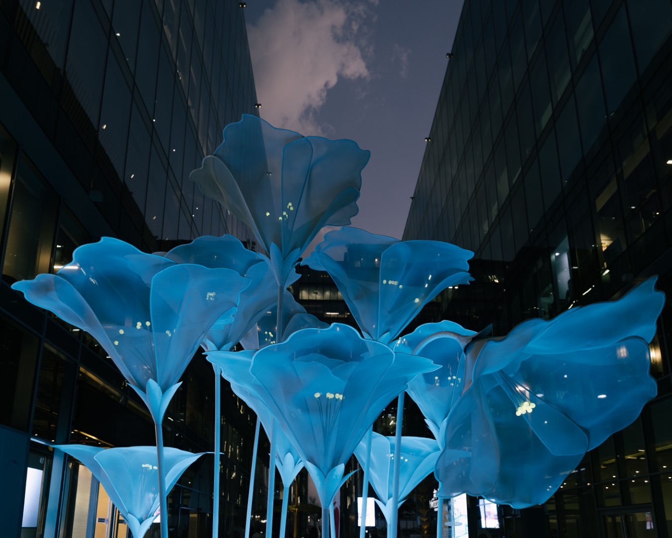 Duette Studio’s Stunning Ephemeral Petunia at Dubai Design Week