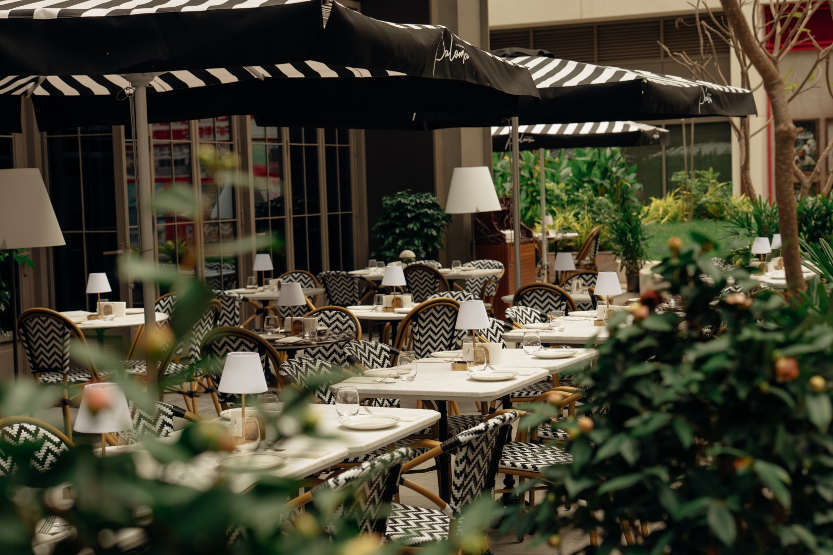 Le Trottoir de Paloma