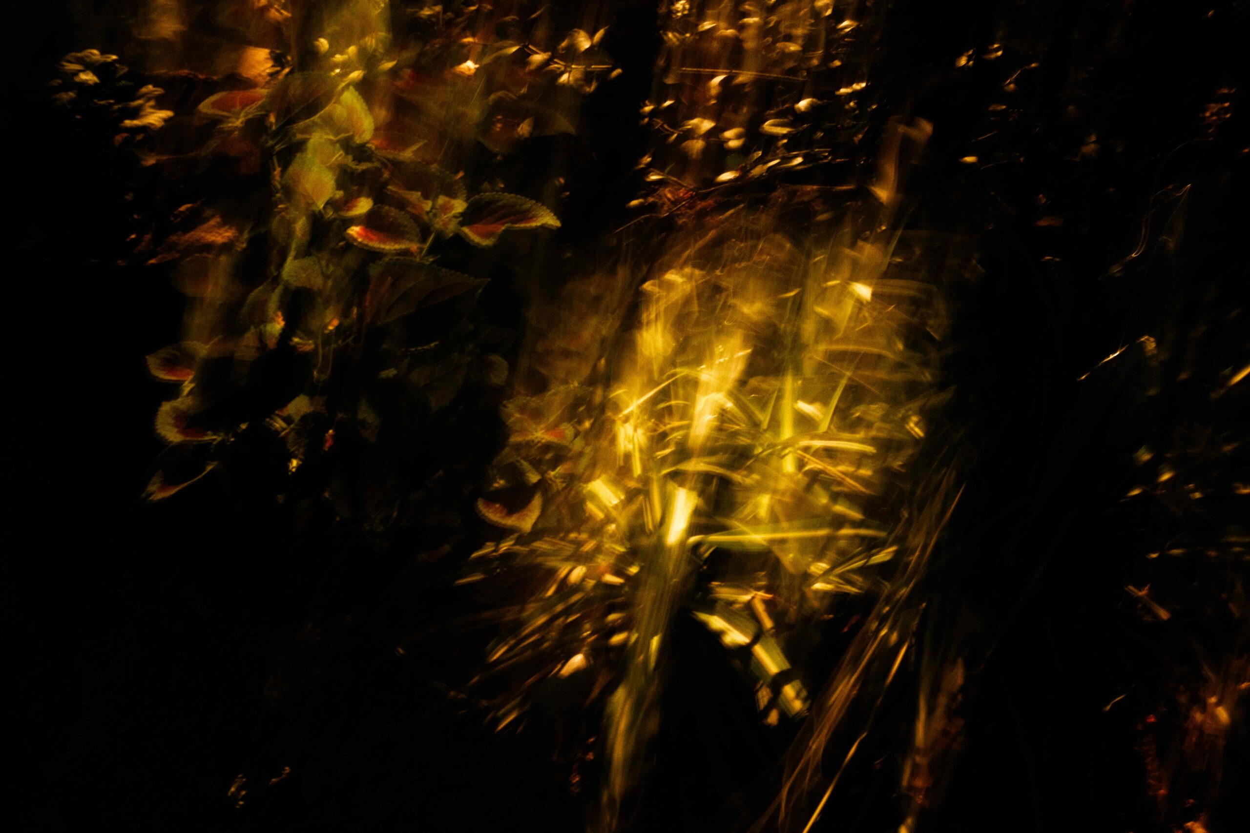 In Absentia