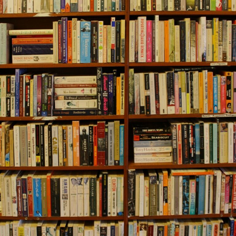 Shelf Portrait: Five Arab Diaspora Books & the Lives They Refuse to Simplify