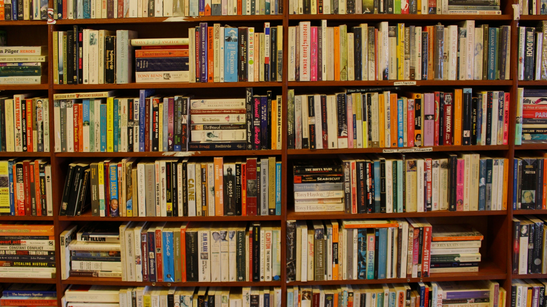 Shelf Portrait: Five Arab Diaspora Books & the Lives They Refuse to Simplify