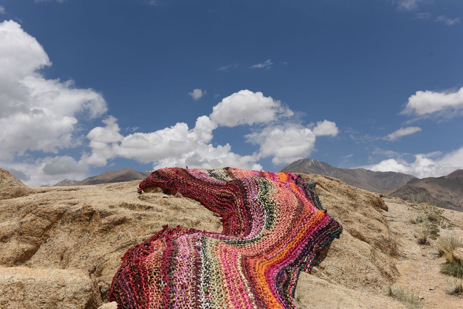 The World’s Highest Art Biennale: A Blueprint for the Future?