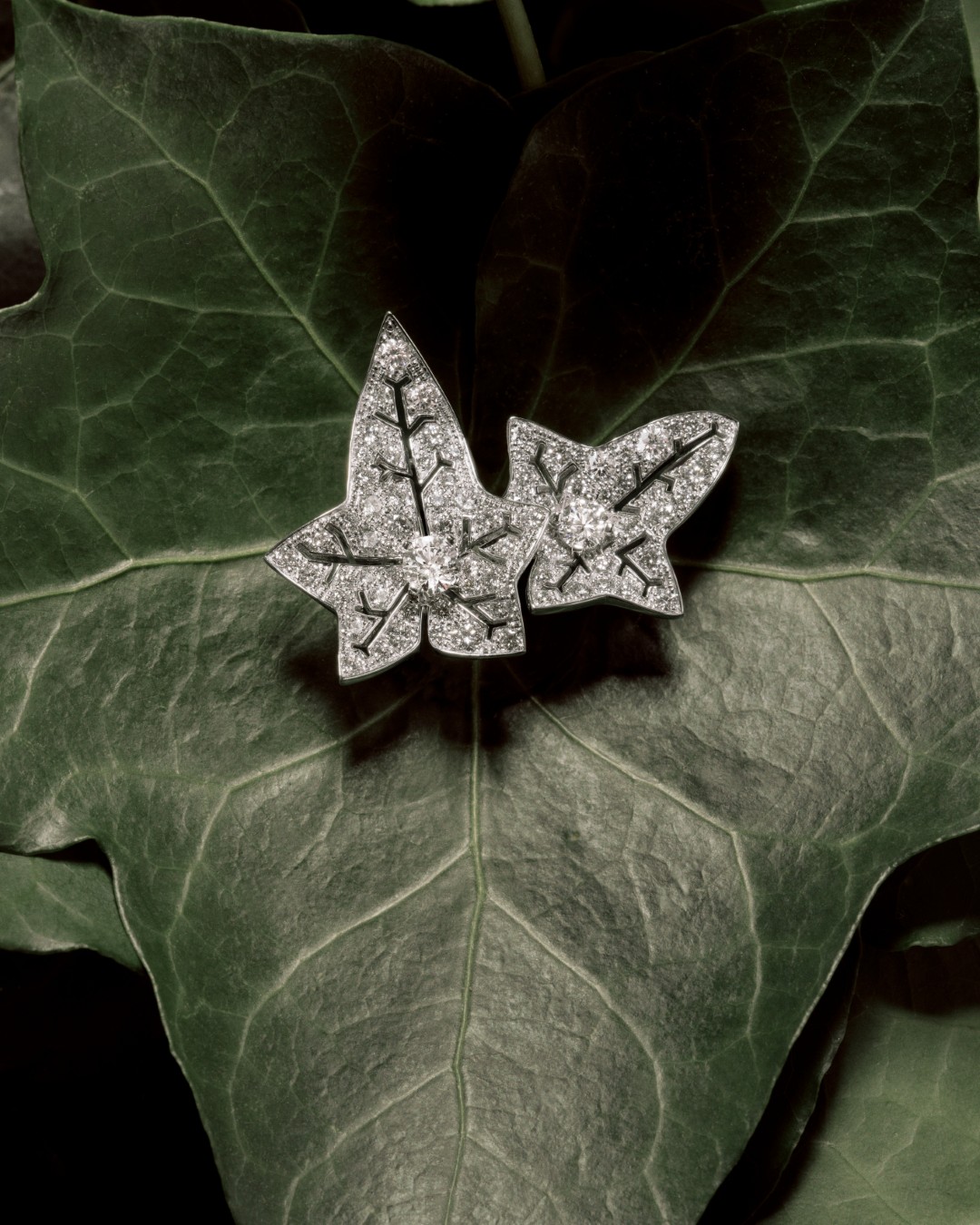 Boucheron Lets Nature Take Over with Lierre de Paris