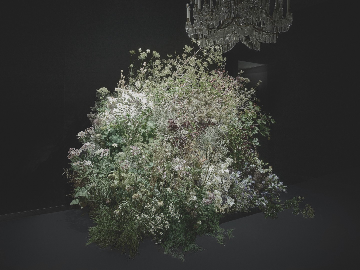 Boucheron Curation