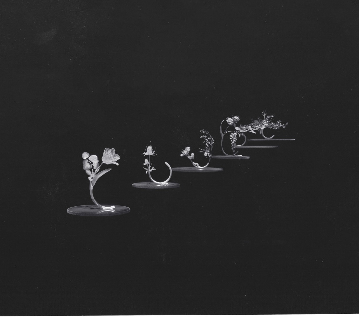 Boucheron Curation